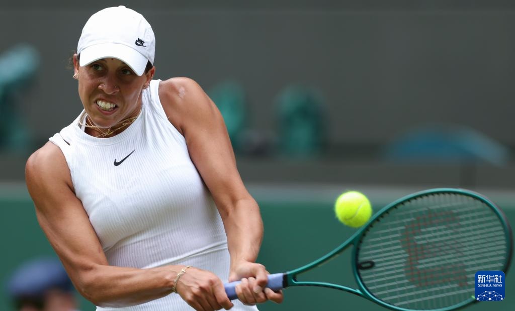 其价值不仅 其价值不仅